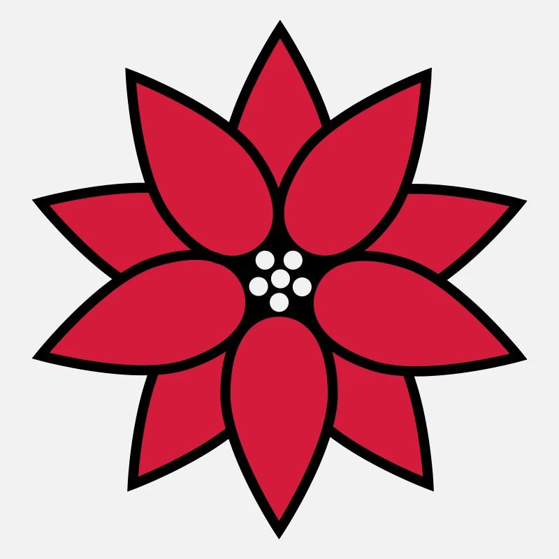 Weihnachtsstern