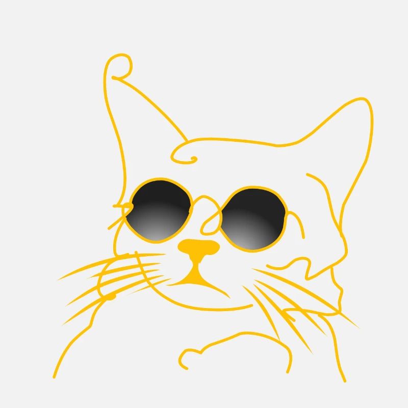 Garçon de chat