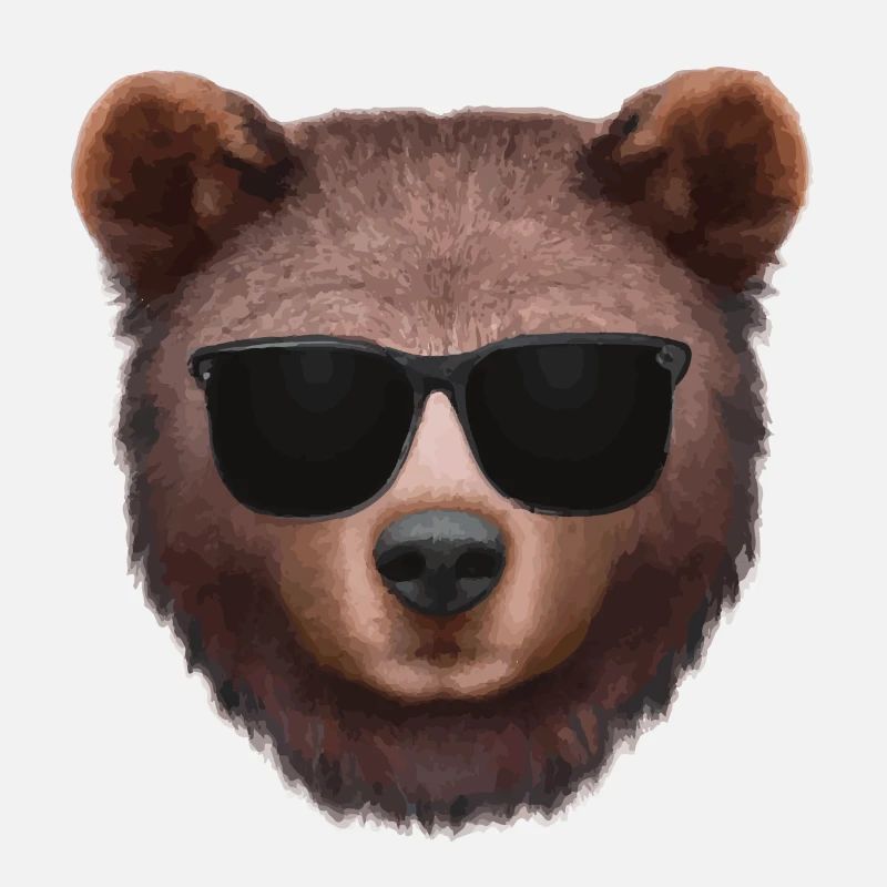 Visage d’ours avec lunettes de soleil