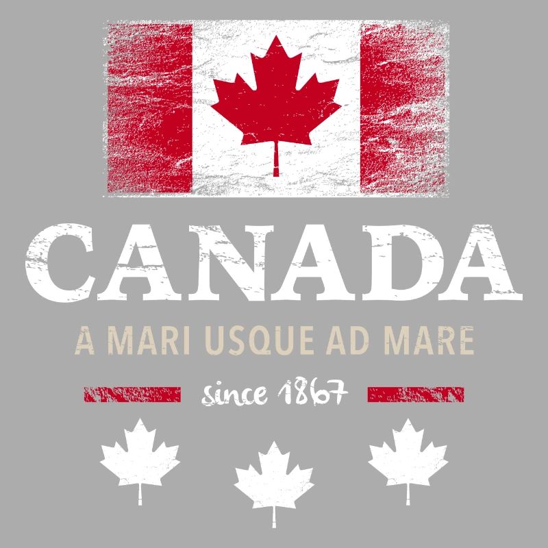 Canada Canada America maple leaf flag flag