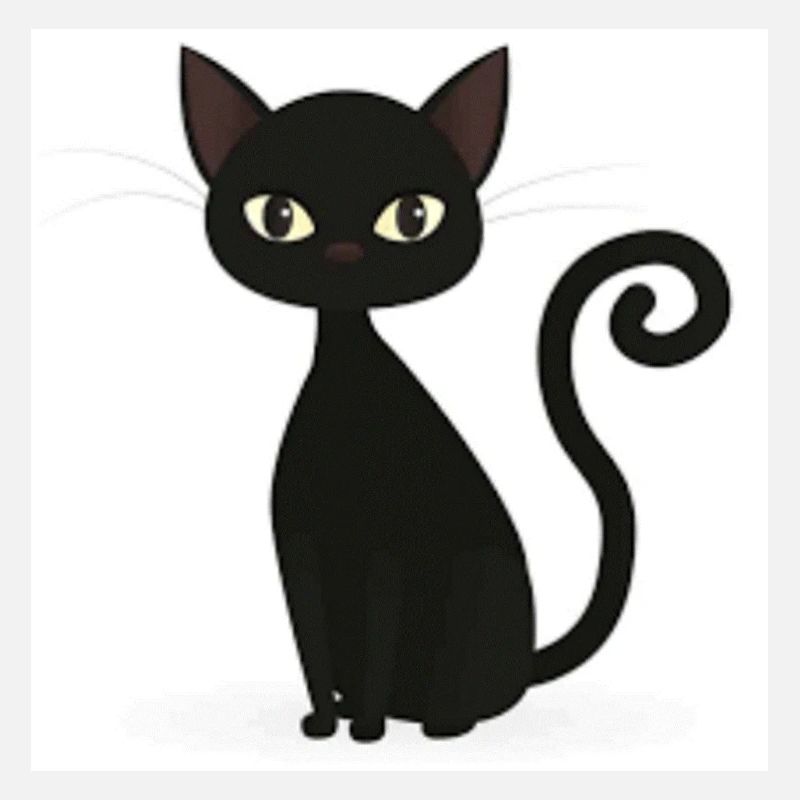 chat noir