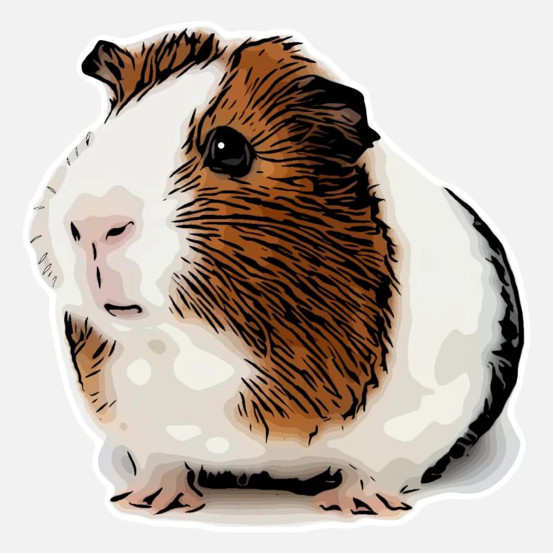 cochon d’Inde doux