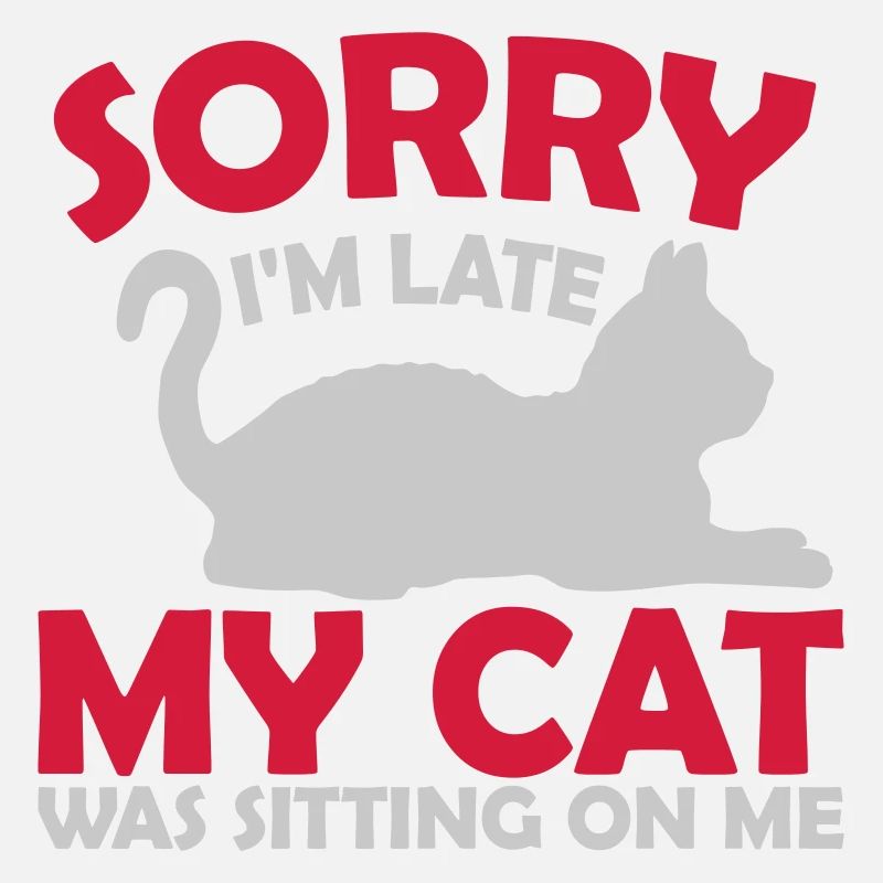 désolé chat était assis