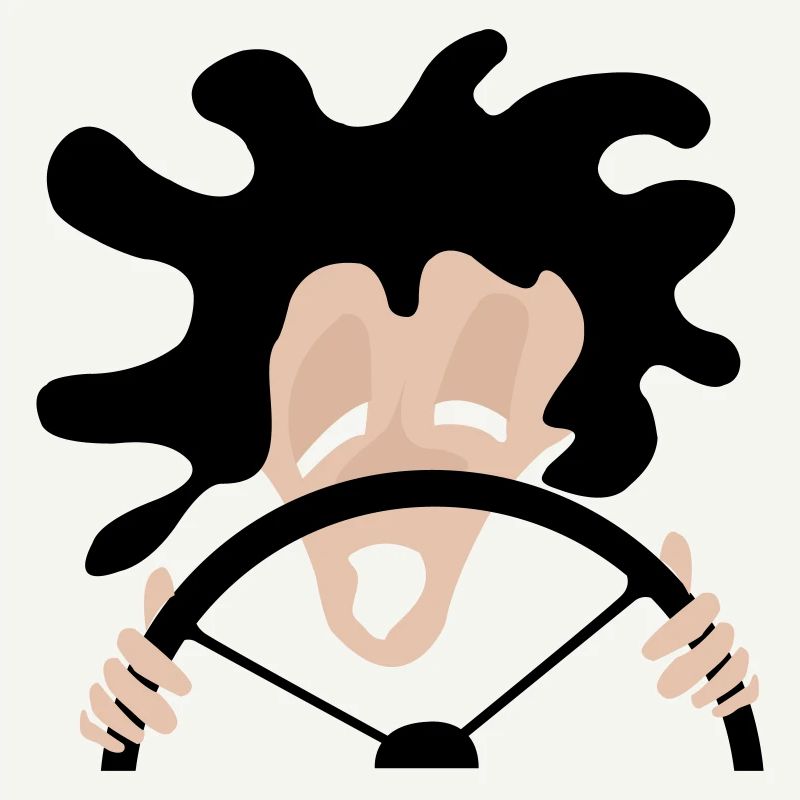 Fahrer