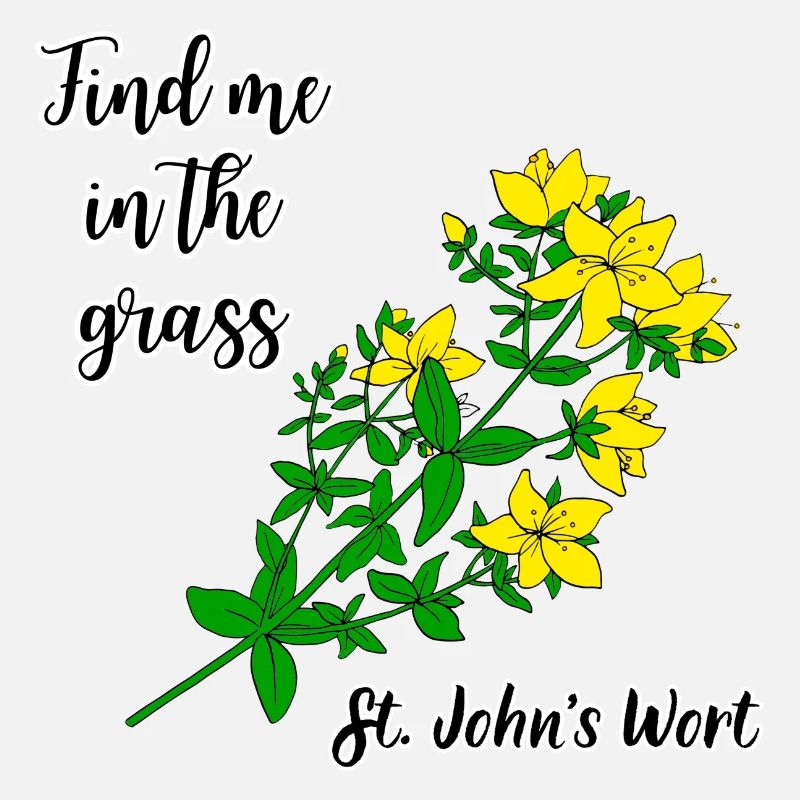 Finde mich im Gras... Johanniskraut