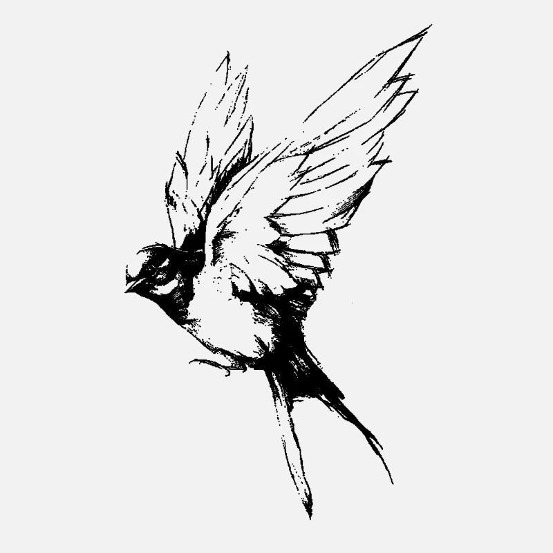 oiseau