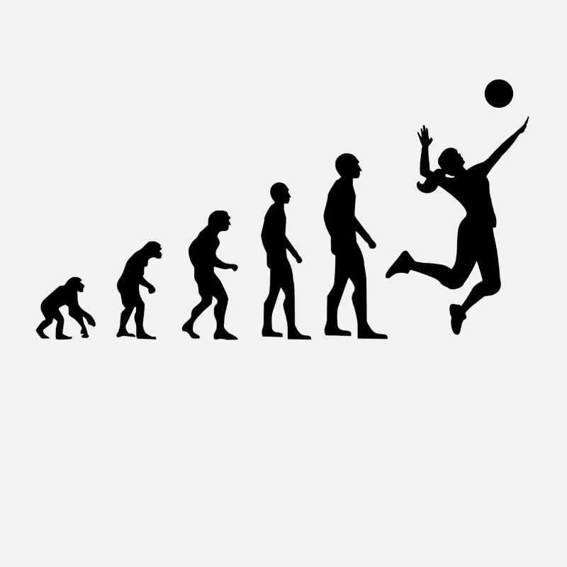 Evolution Volleyball