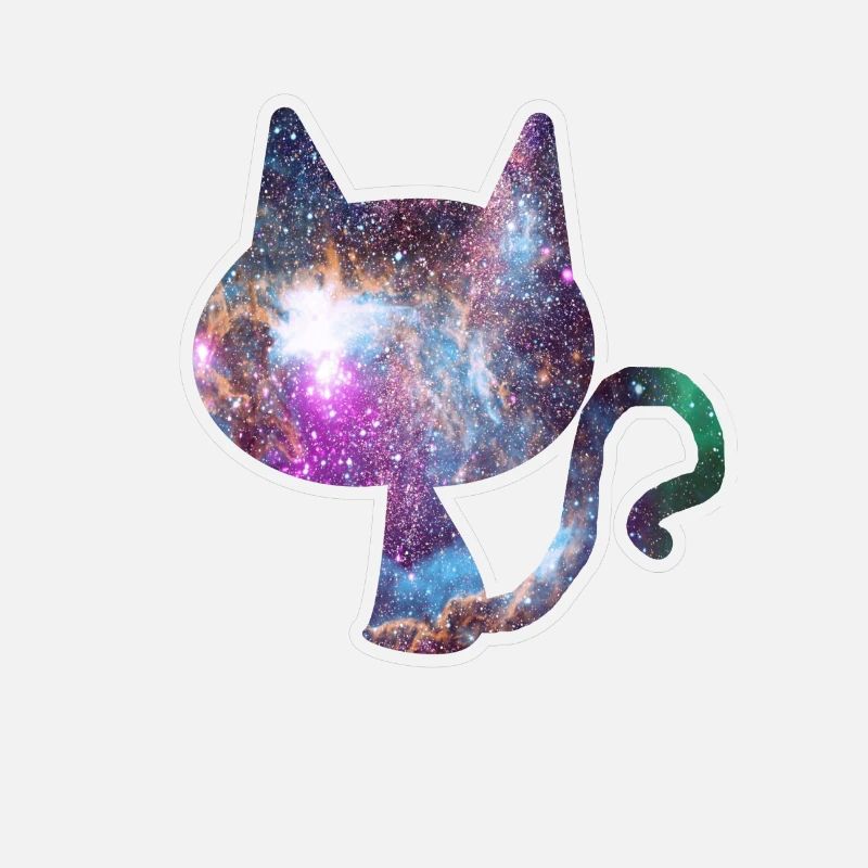 Univers de tous les modèles dans le propriétaire du chat