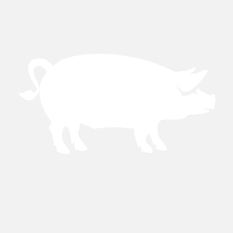 A white pig on the farm