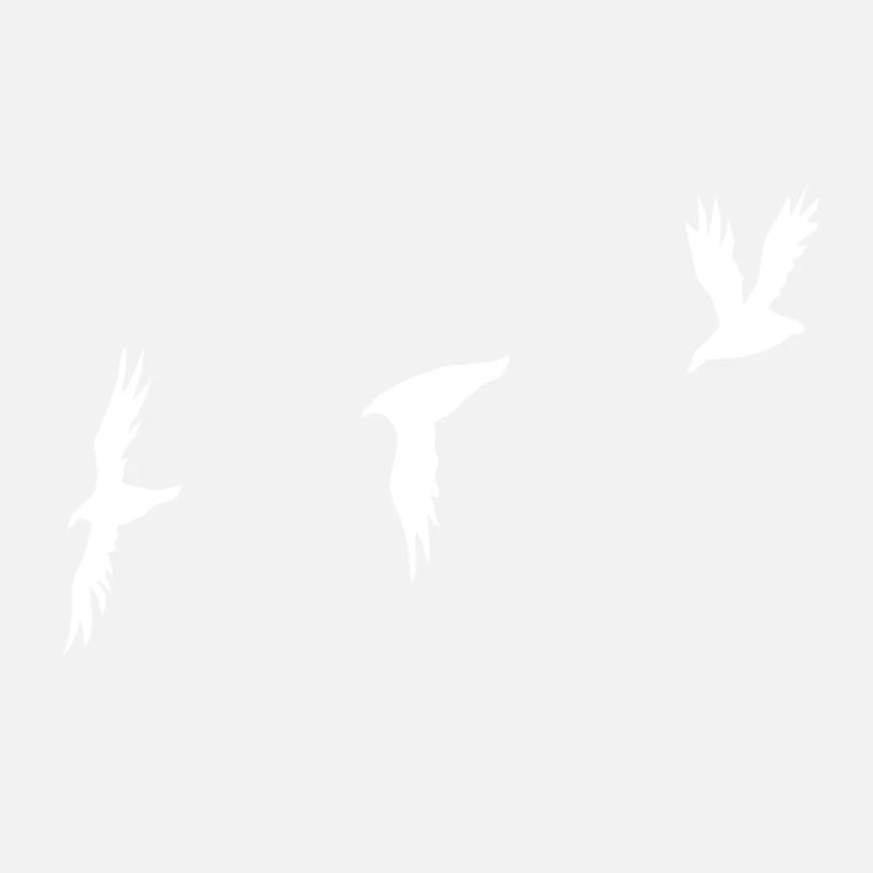 Birds white