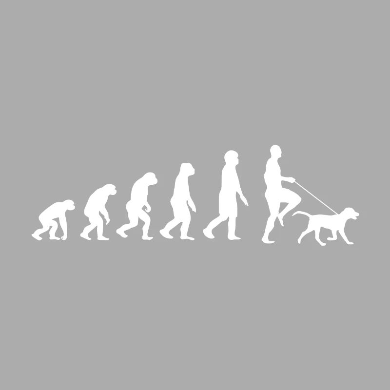 Labrador Evolution