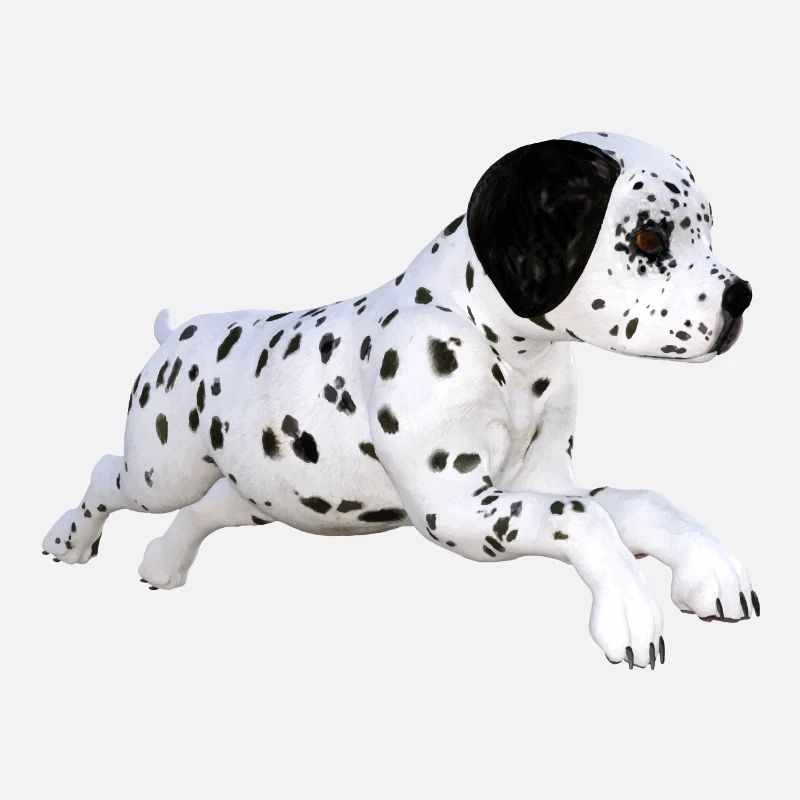 Chien chiot dalmatien