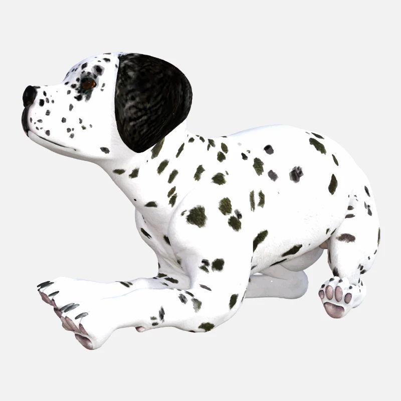 Hund Dalmatiner Welpe