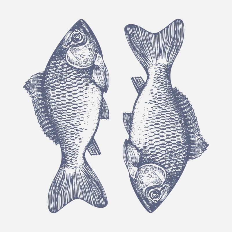 The symmetrical fish