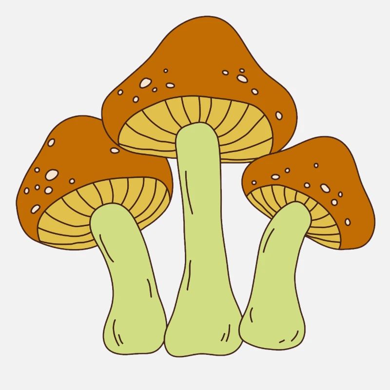 champignon