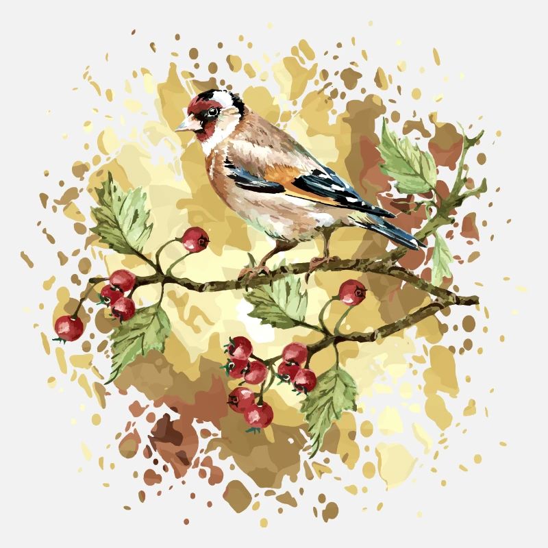 Oiseau coloré