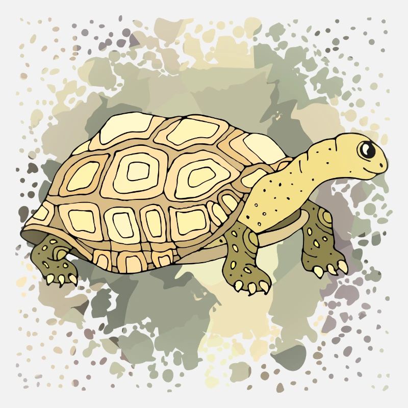 Schildkröte