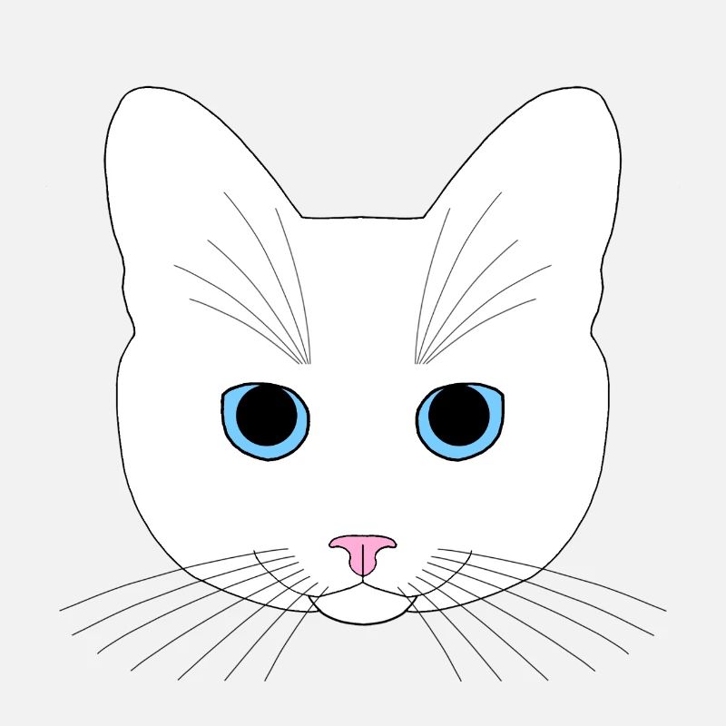 Chat blanc