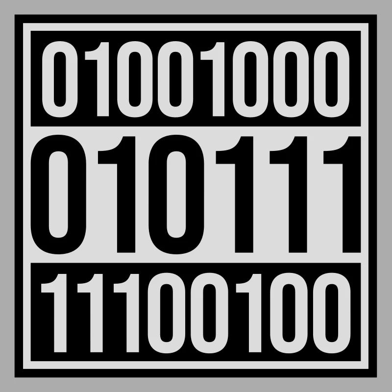 Binär Code Programm Sprache