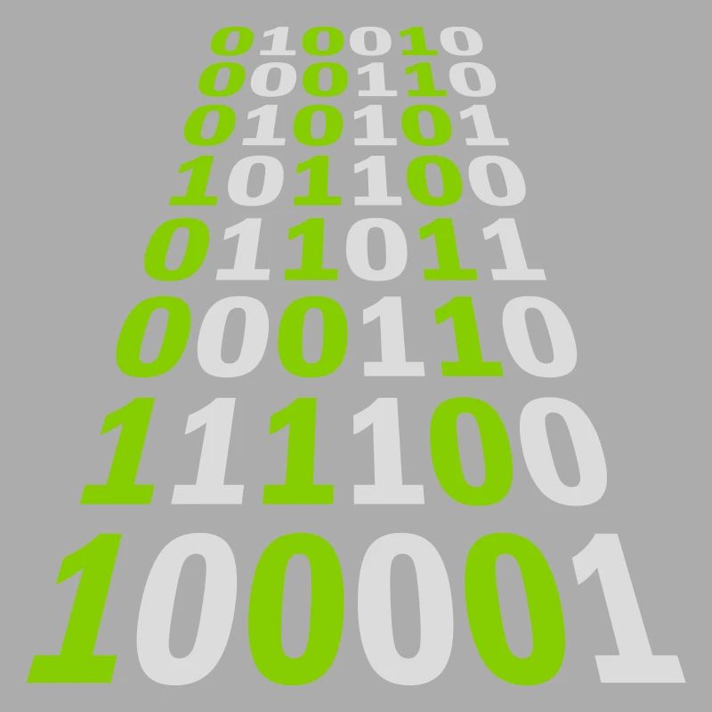 Langage de programme de code binaire