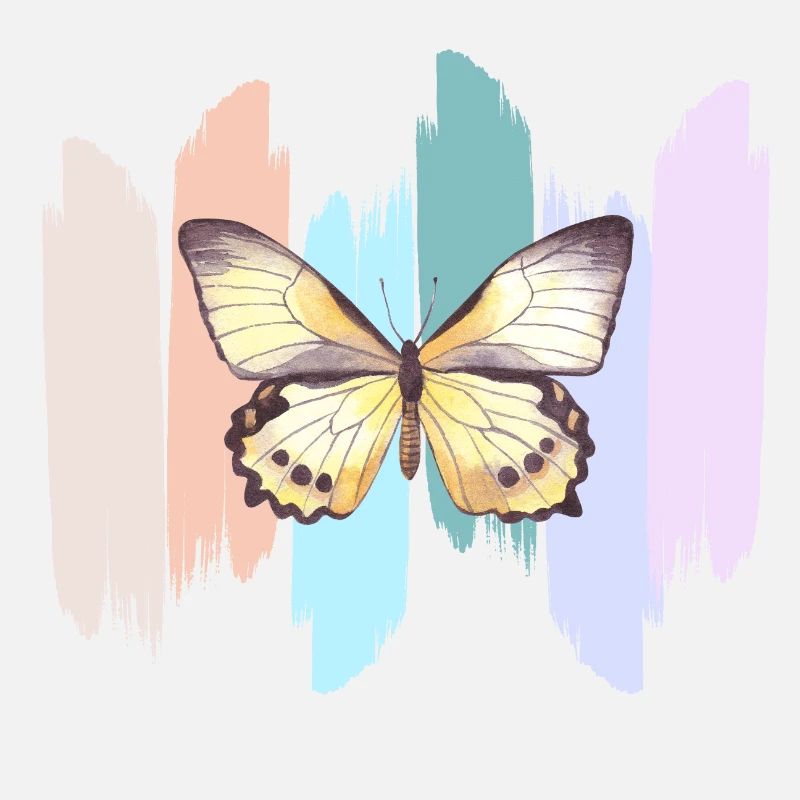 Rainbow butterfly