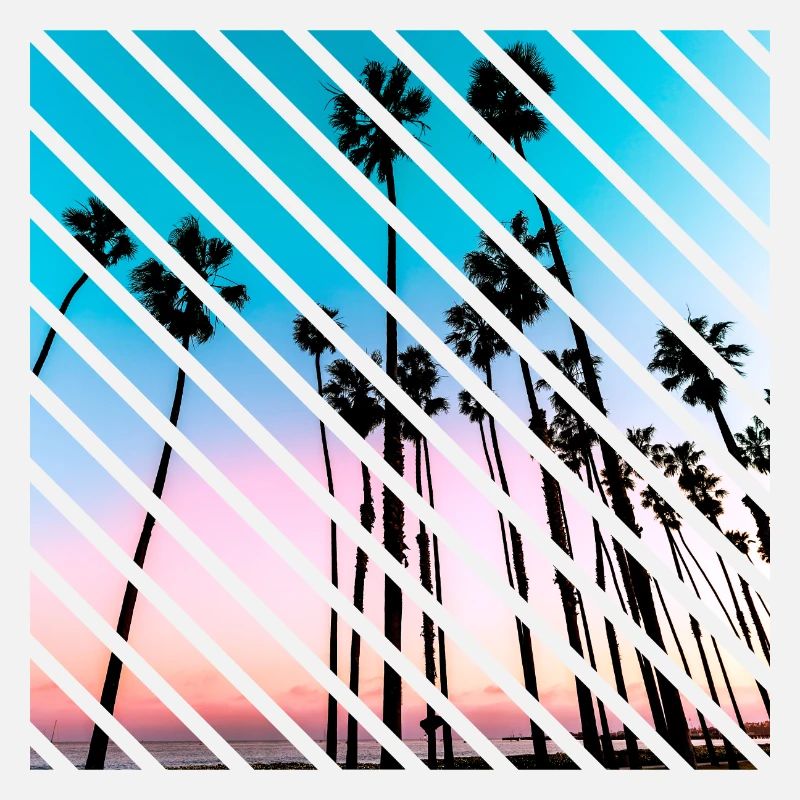 California sunset palm Trees