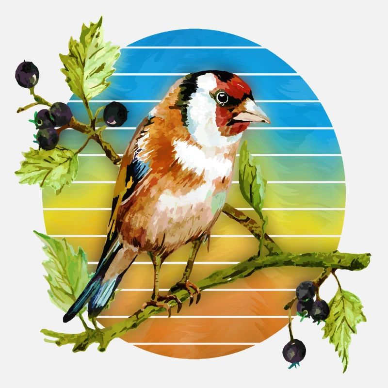 Oiseau coloré