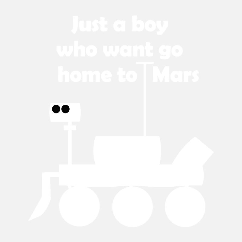 Excursion into space