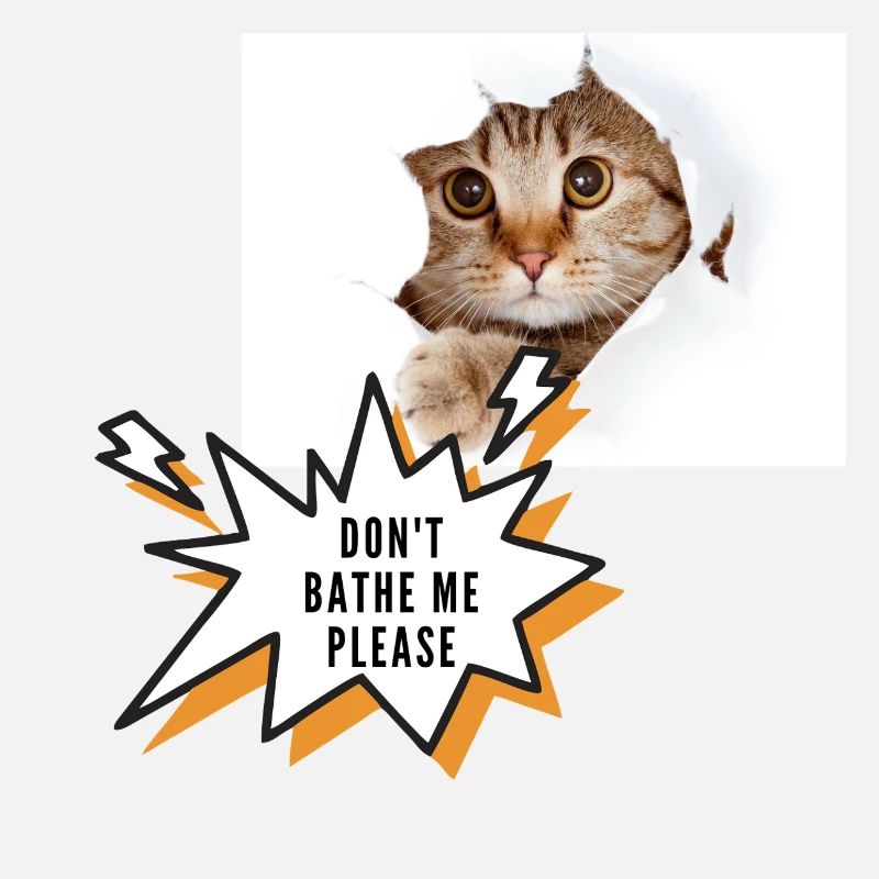 Ne me baigne pas chat