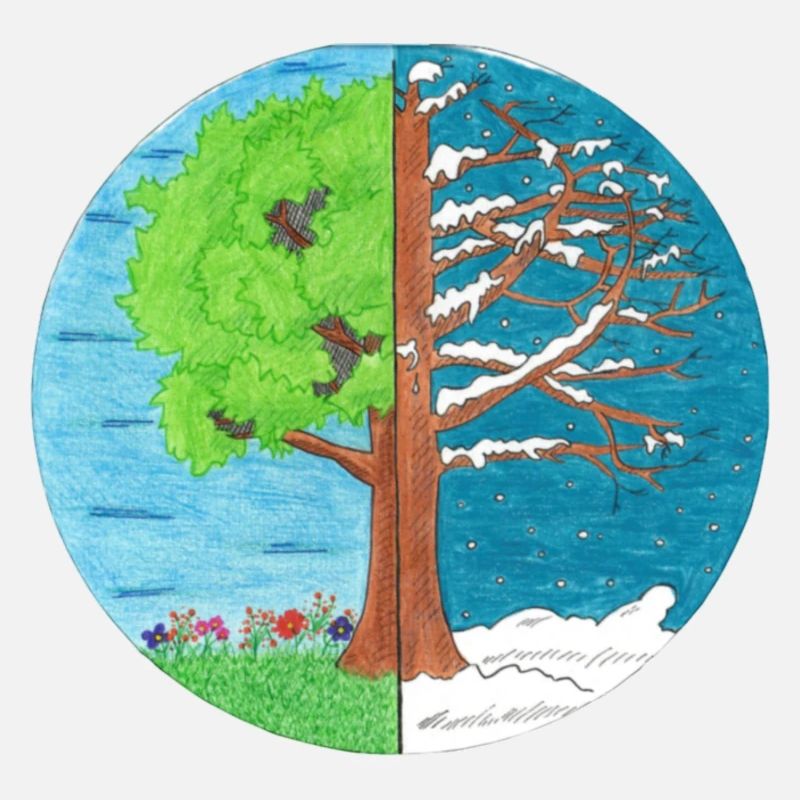 Summer and Winter