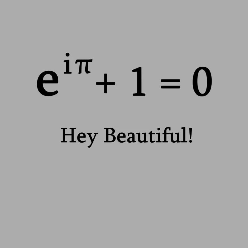 Euler identité math mathématicien nerd science pi