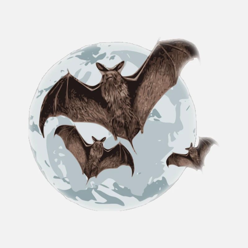 Fledermaus