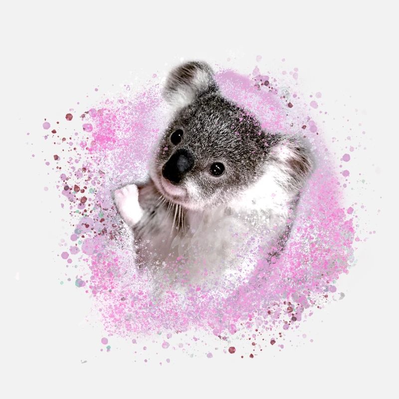 koala, rose, graffiti, peinture, ours koala, rose