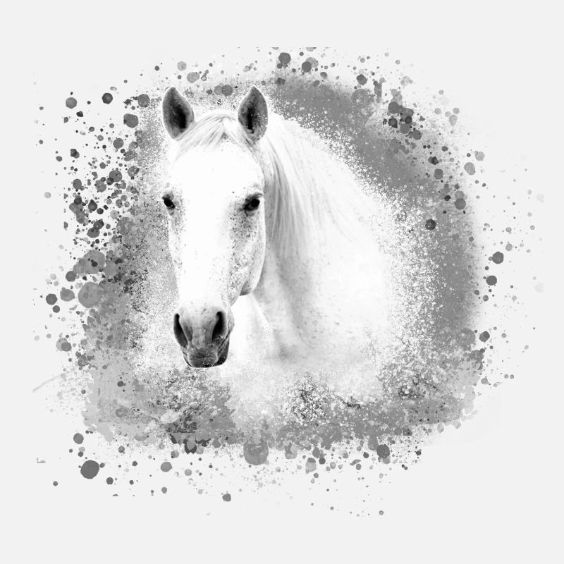 Moisissure, cheval, cheval blanc, graffiti, haflinger