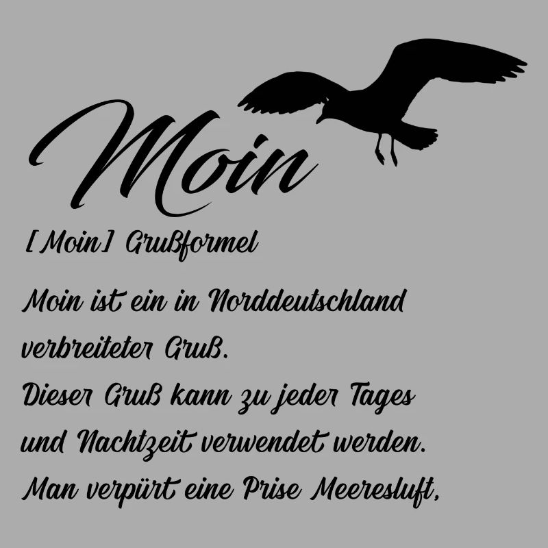 Moin Definiton Geschenk Idee mit Möwe