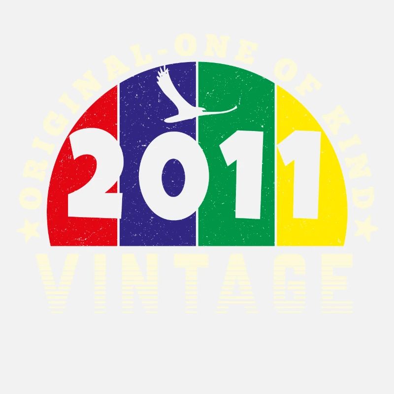 Vintage 2011 Retro - Bursdag