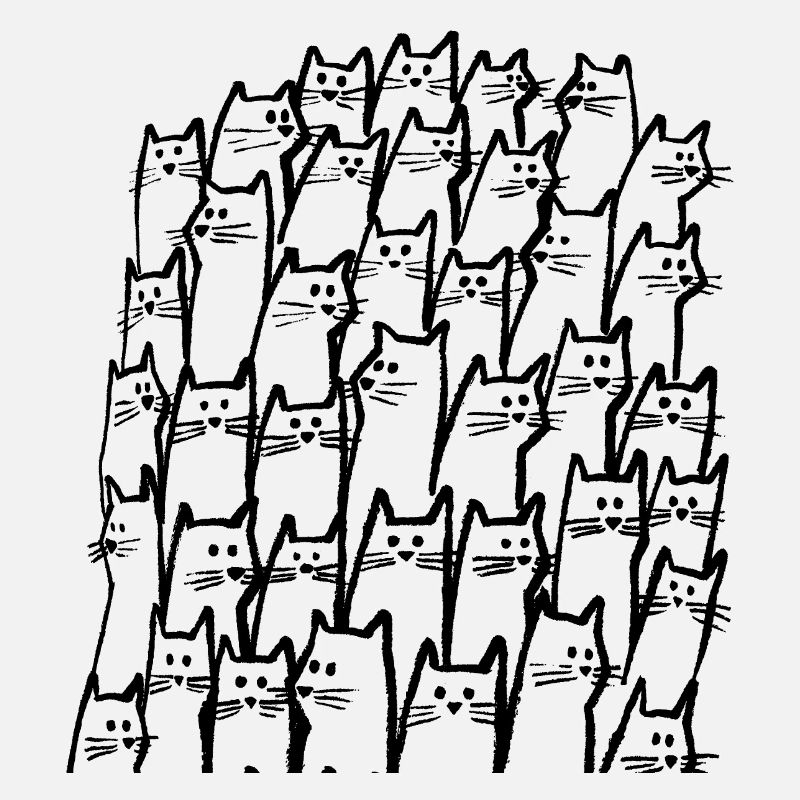Chats en noir