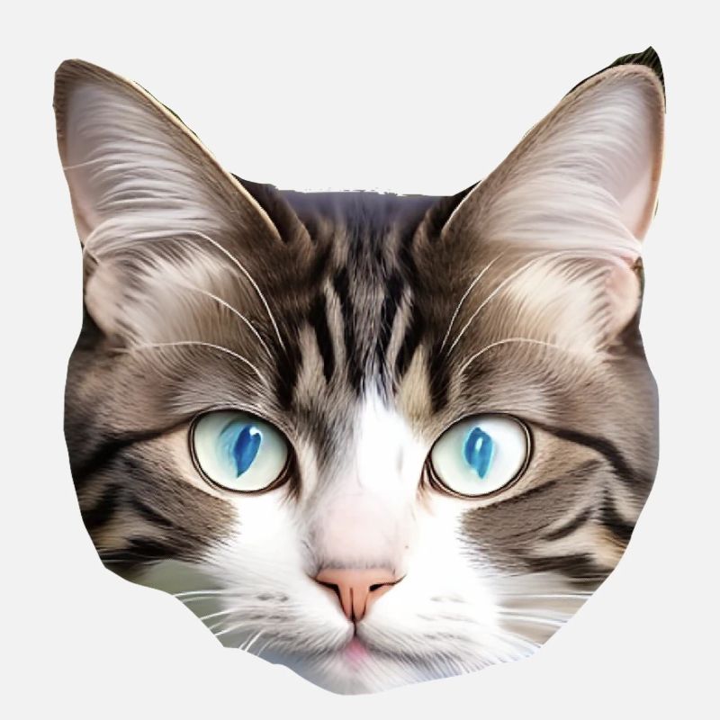 Cute cat
