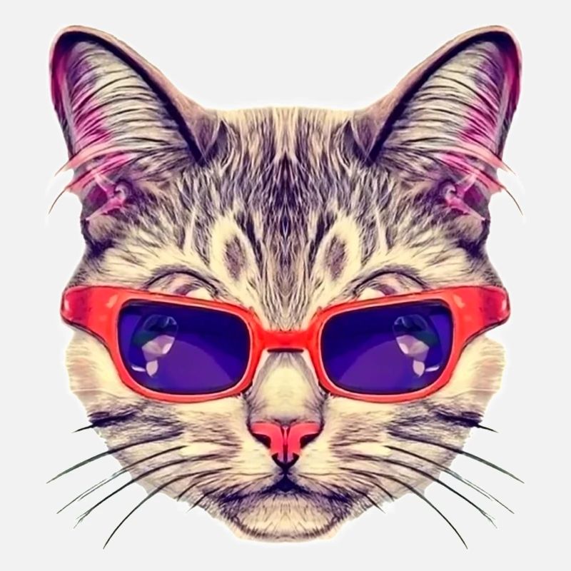 Classy Cat with its red Sunglasses