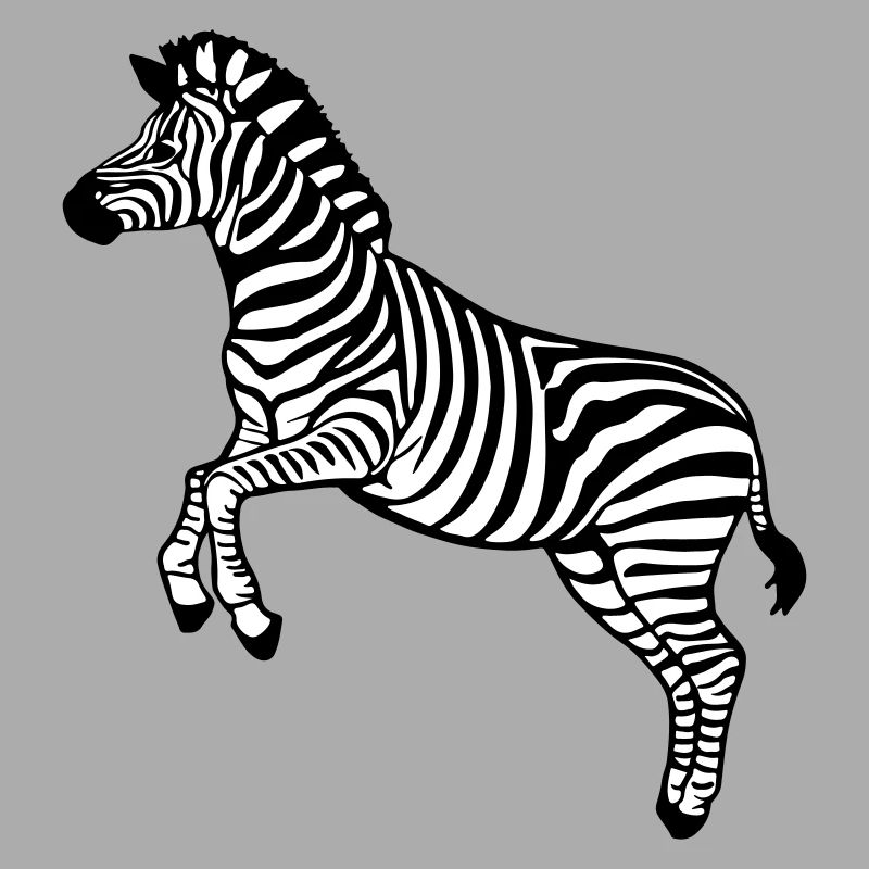 zebra Botswana Plains zebra