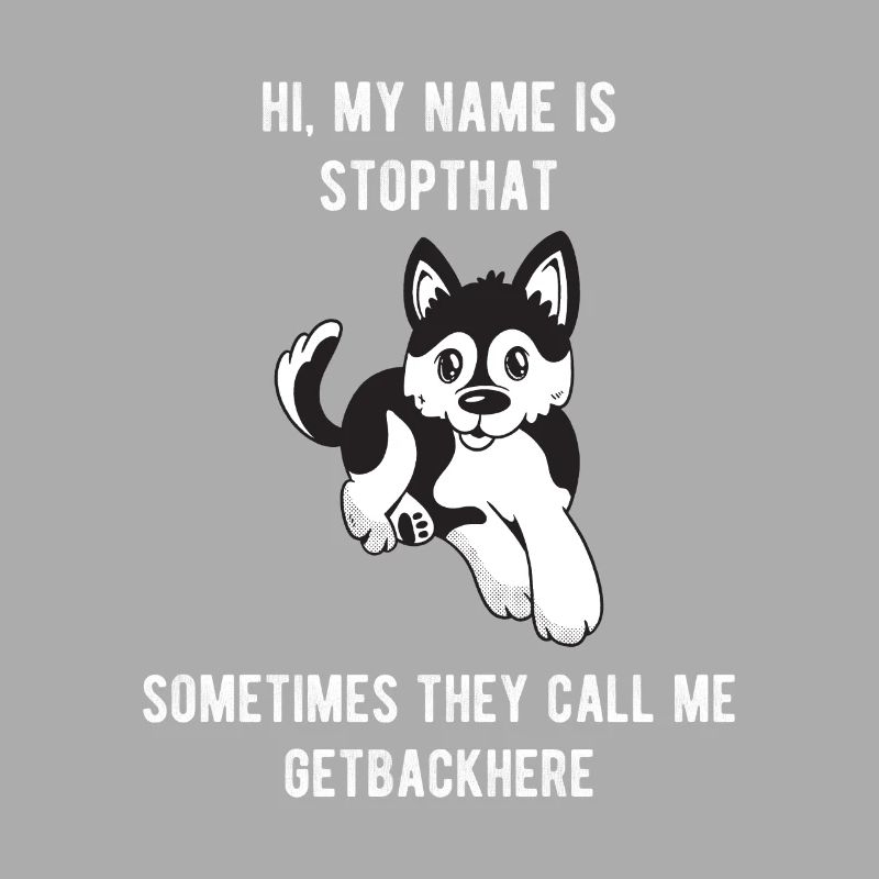 Mon nom est Stopthat Getbackhere Pomsky Hyper Dog