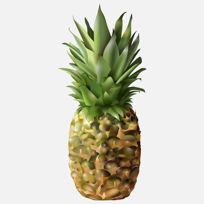 Ananas