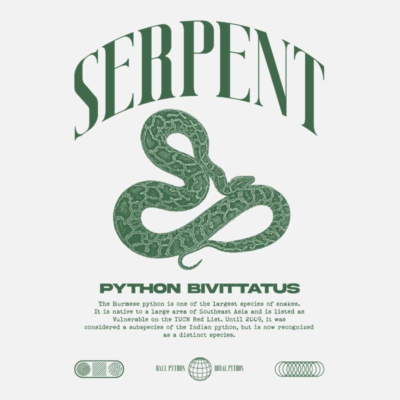 Burmese Python Modern Reptile Keeper Streetwear