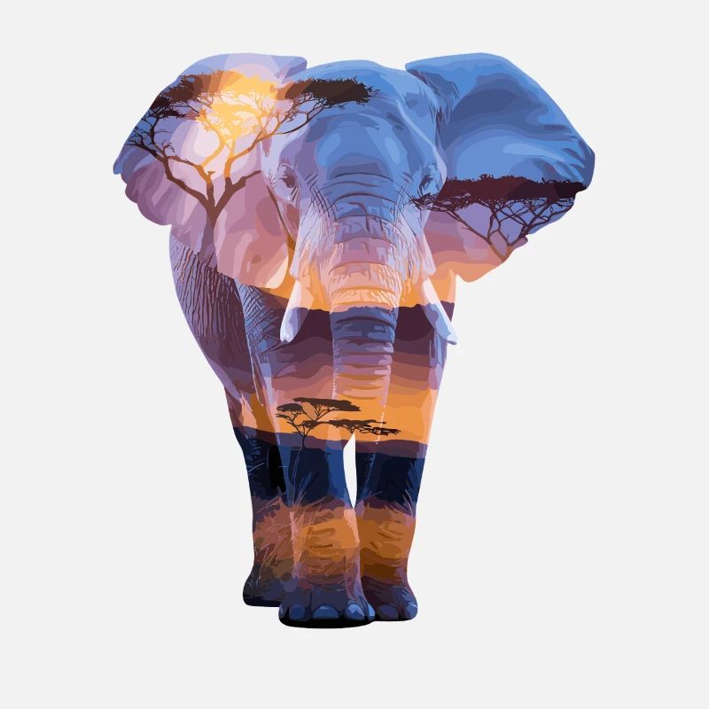 éléphant africain coucher de soleil savane