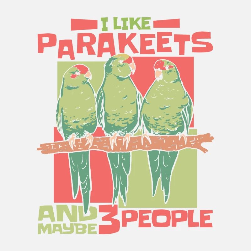 Perruche Budgerigar Oiseau Animal