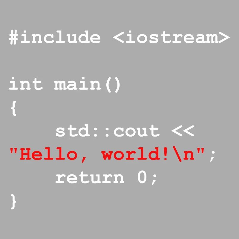 Programmer Coder Software Developer
