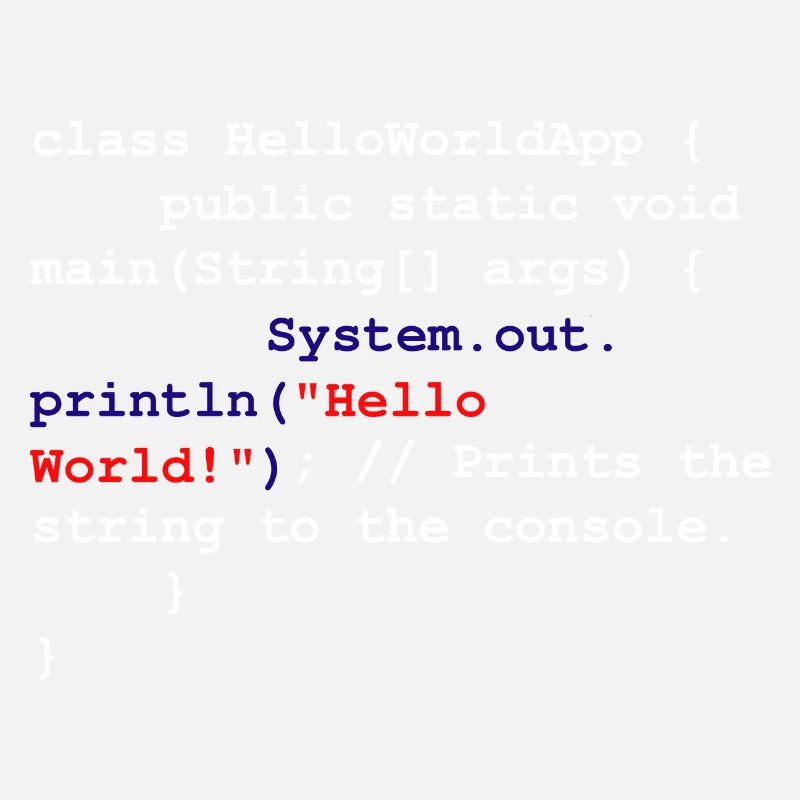 Programmierer Coder Software Entwickler