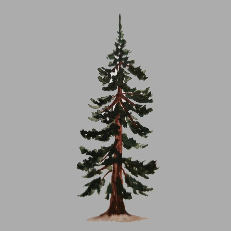 Baum