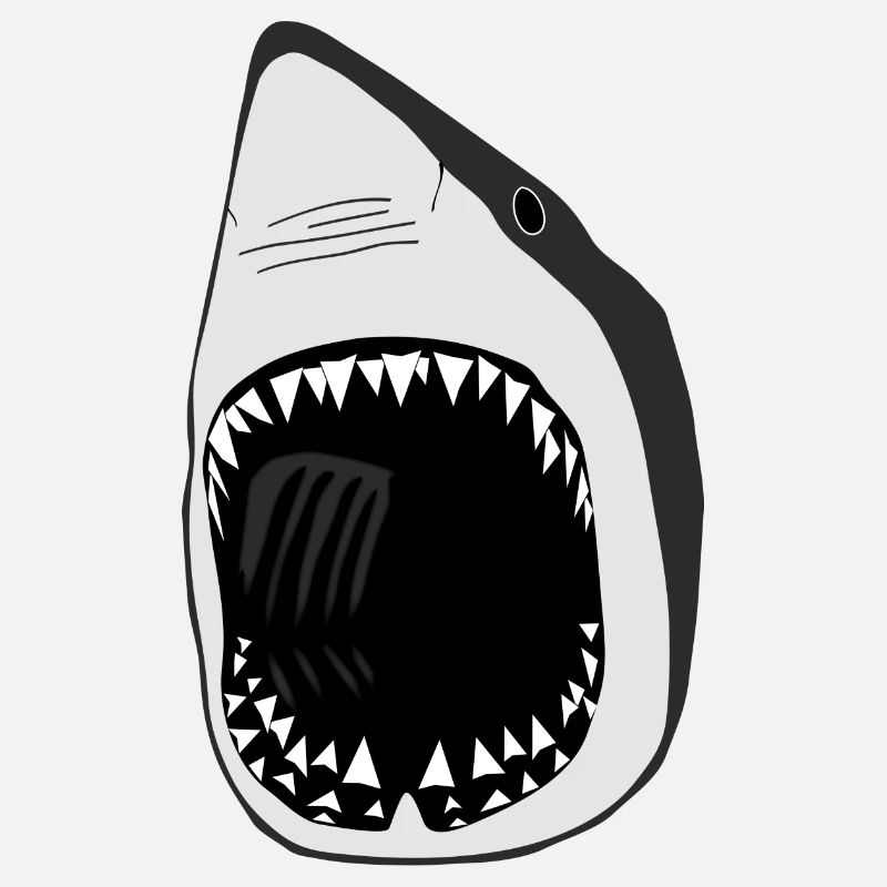 grand requin blanc squale poisson plongée