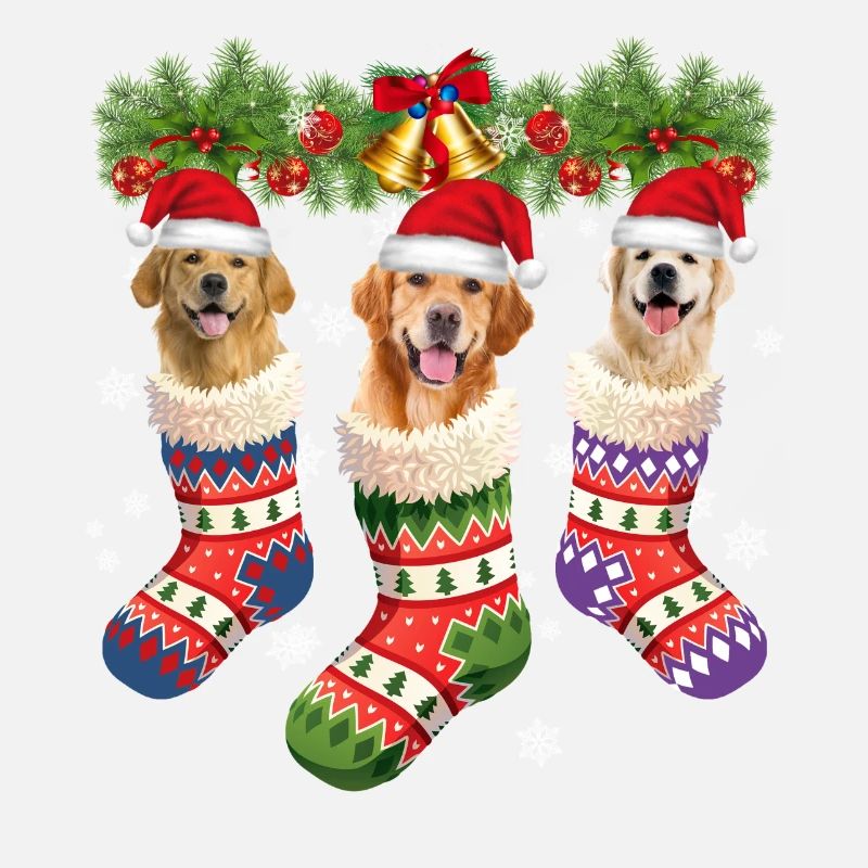 Chiens de Noël